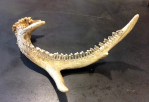 Ypsi Alloy Studios 2