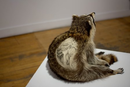 art-now-ashley-shaul-but-she-looked-friendly-2