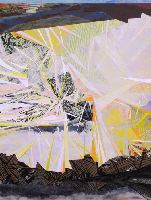 swift-carolyn-art-now-printmaking-exhibition-ann-arbor-art-center