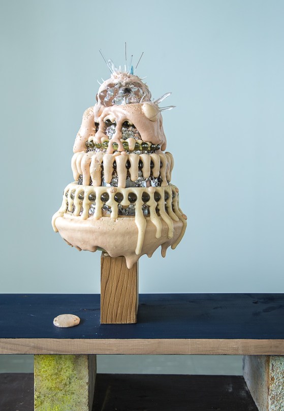 Allie-Hoag-Fleshcake